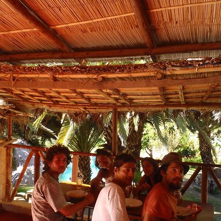Paraiso Las Palmeras Lodge 卡瓦纳科德 外观 照片