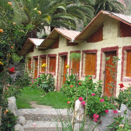 Paraiso Las Palmeras Lodge 卡瓦纳科德 外观 照片