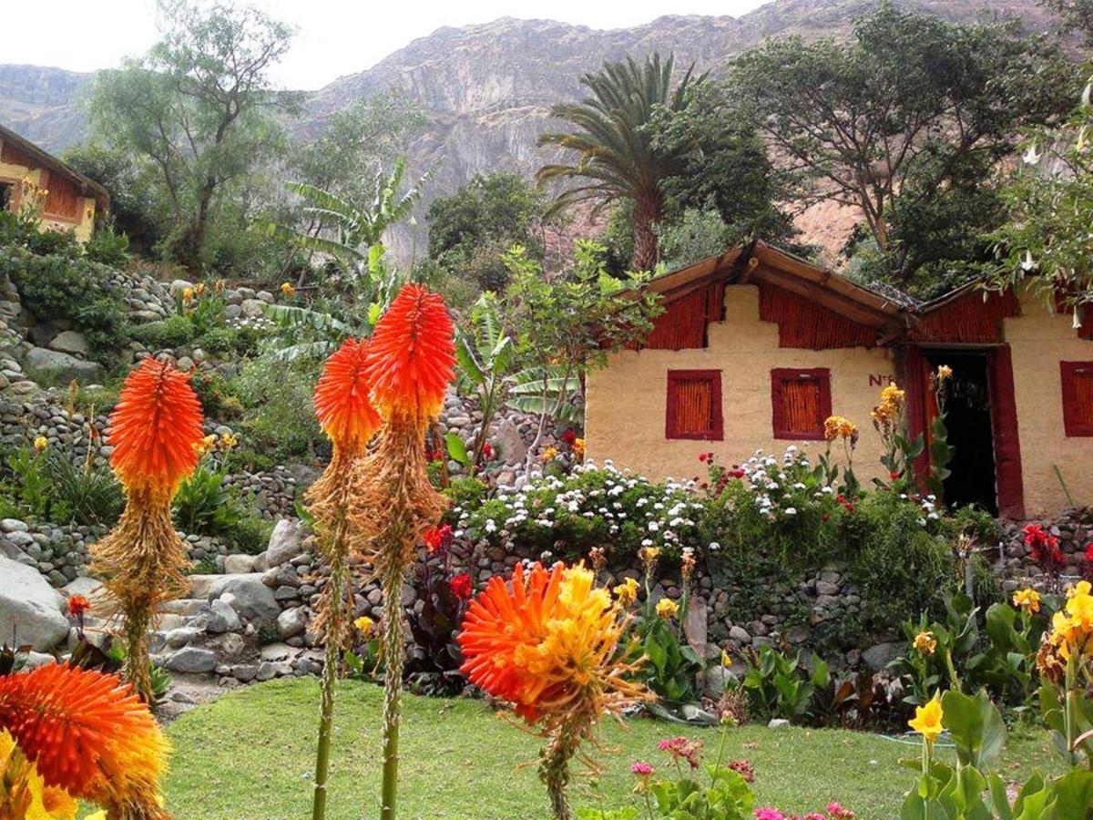 Paraiso Las Palmeras Lodge 卡瓦纳科德 外观 照片