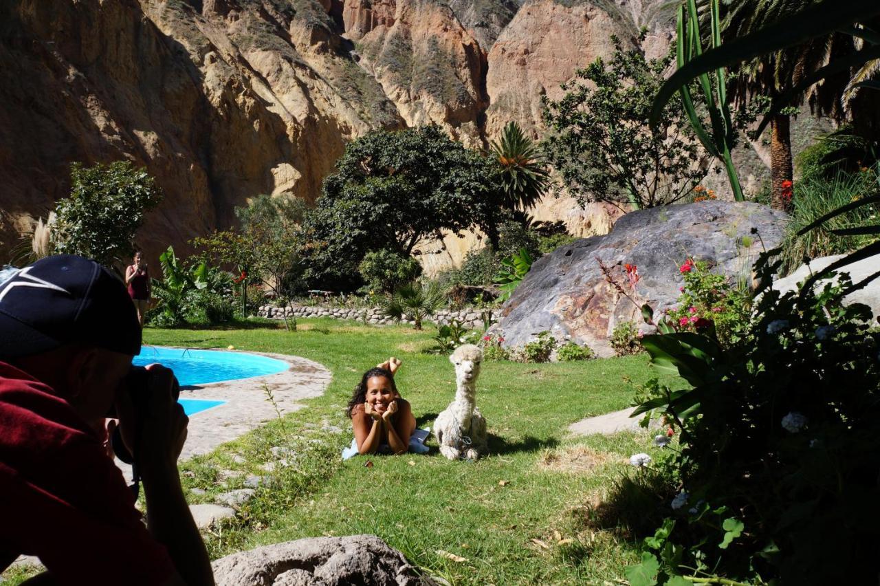 Paraiso Las Palmeras Lodge 卡瓦纳科德 外观 照片