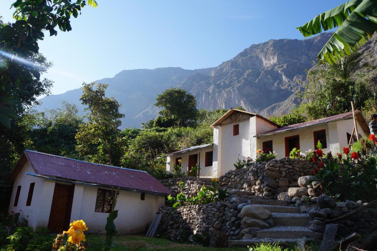 Paraiso Las Palmeras Lodge 卡瓦纳科德 客房 照片