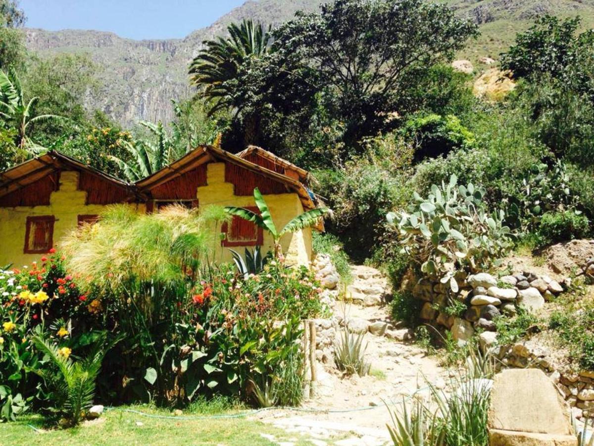Paraiso Las Palmeras Lodge 卡瓦纳科德 外观 照片