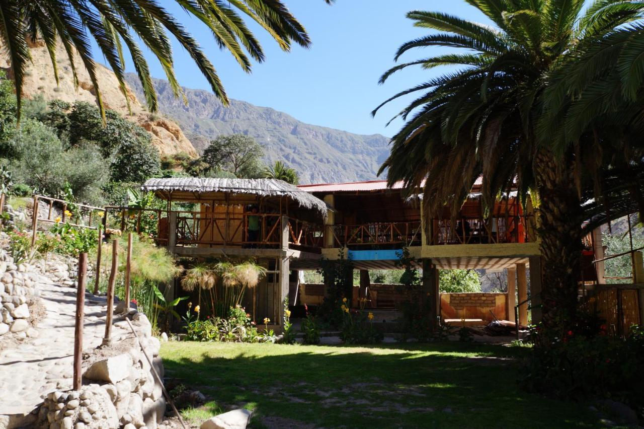 Paraiso Las Palmeras Lodge 卡瓦纳科德 客房 照片