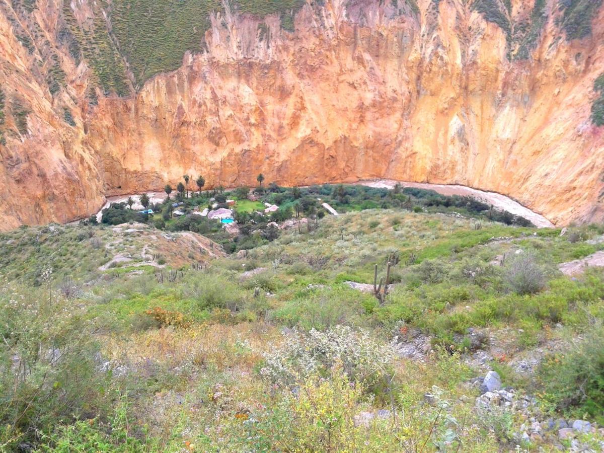 Paraiso Las Palmeras Lodge 卡瓦纳科德 外观 照片