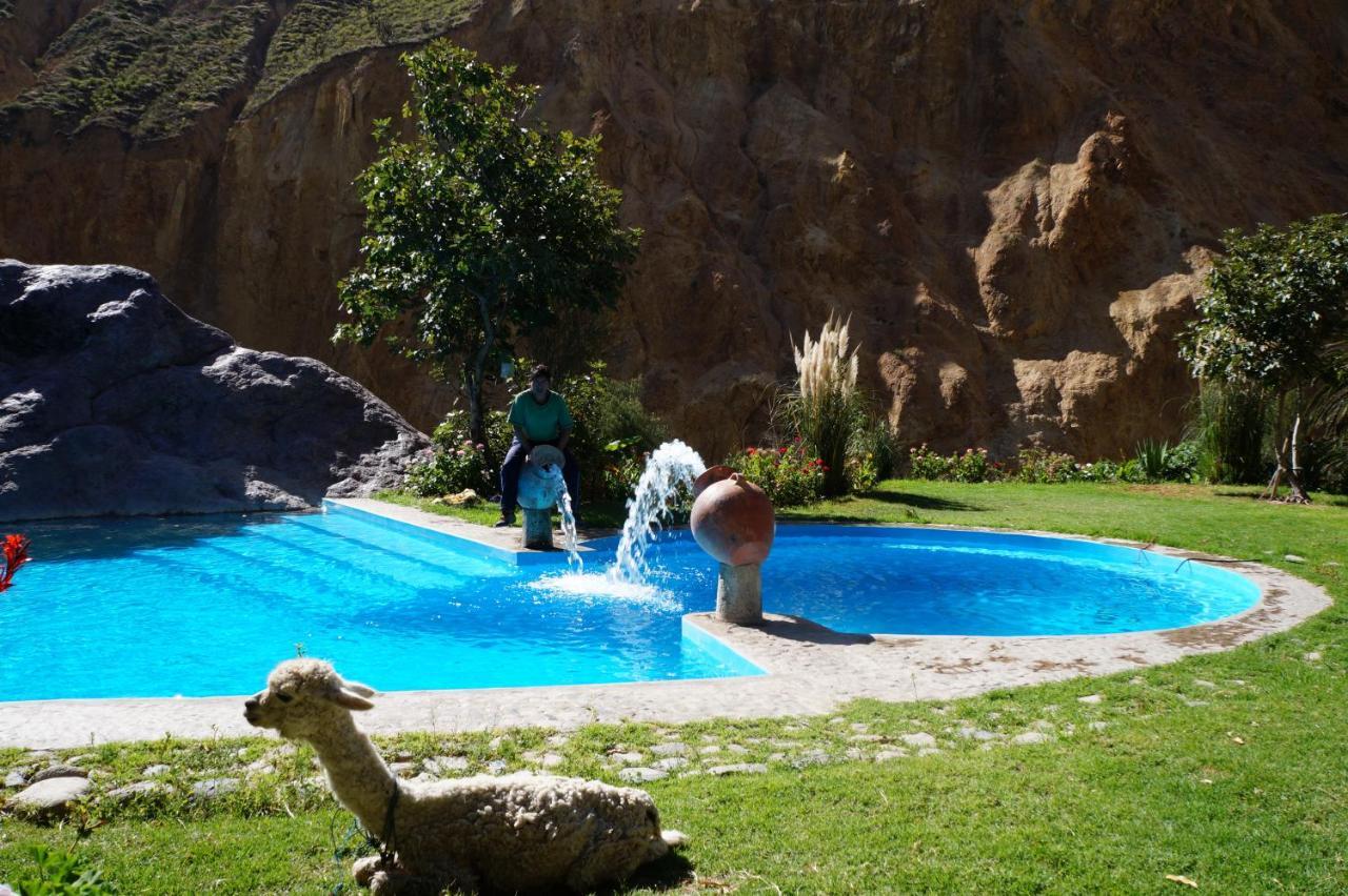 Paraiso Las Palmeras Lodge 卡瓦纳科德 外观 照片