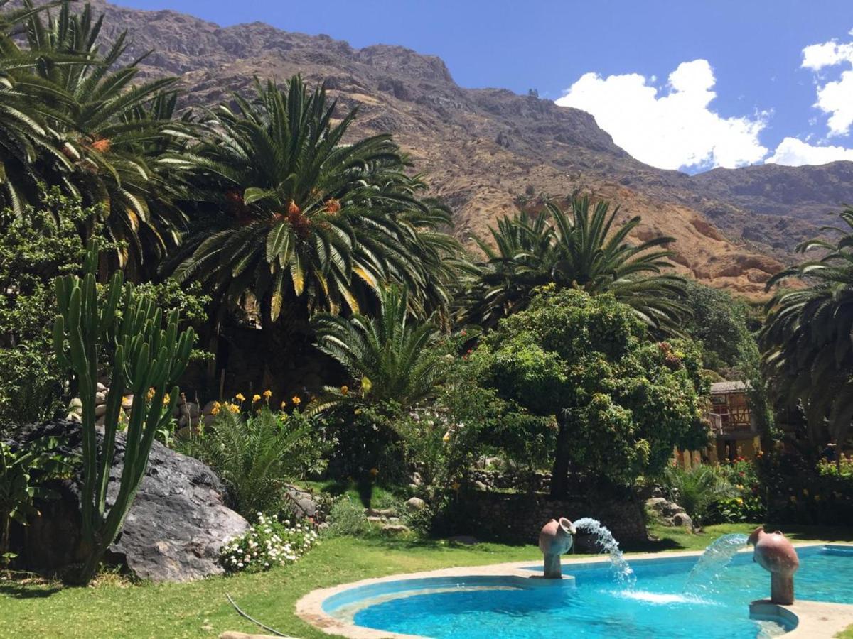 Paraiso Las Palmeras Lodge 卡瓦纳科德 外观 照片