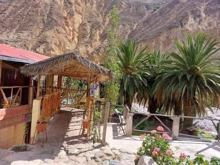 Paraiso Las Palmeras Lodge 卡瓦纳科德 外观 照片