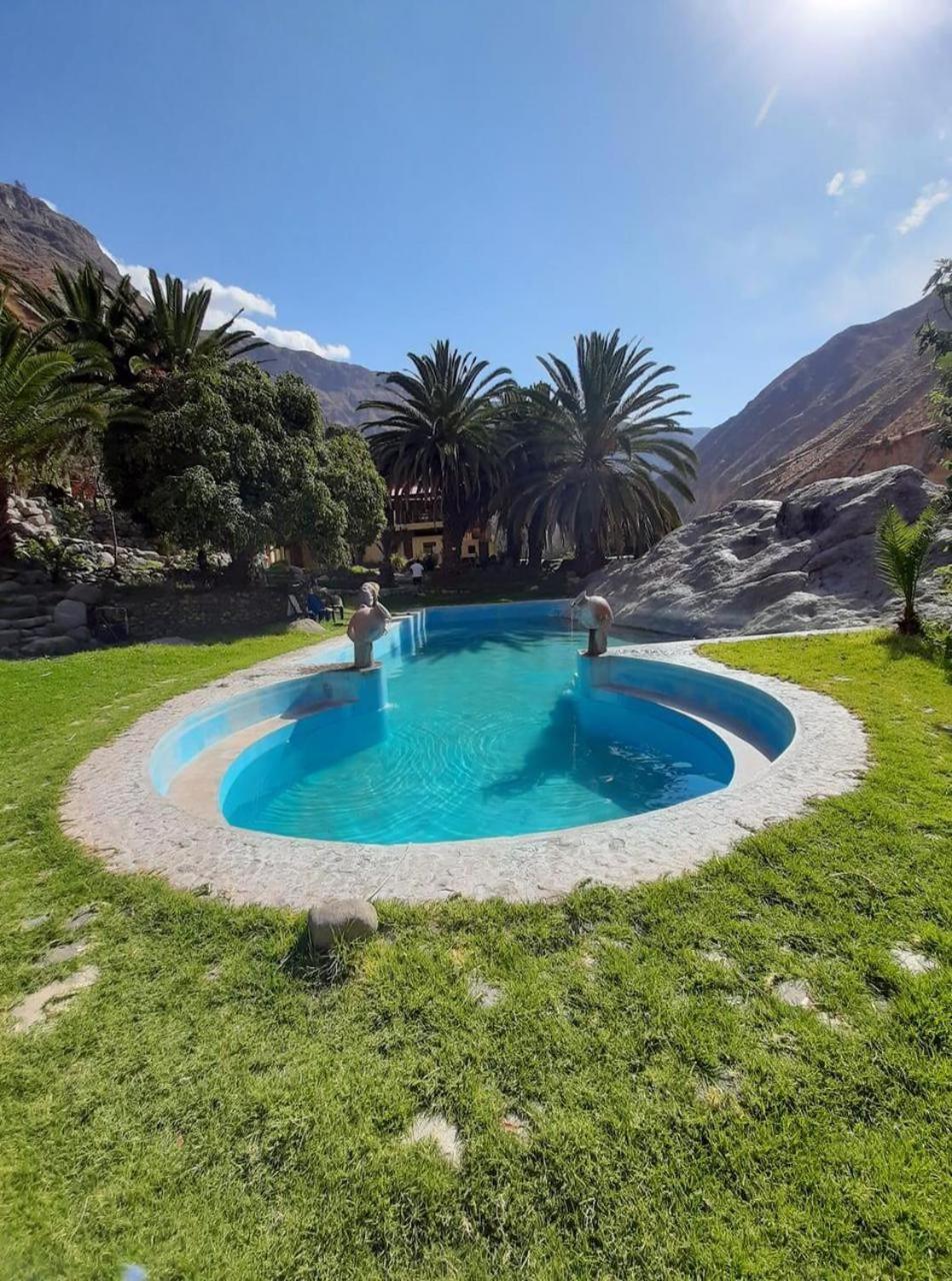 Paraiso Las Palmeras Lodge 卡瓦纳科德 外观 照片