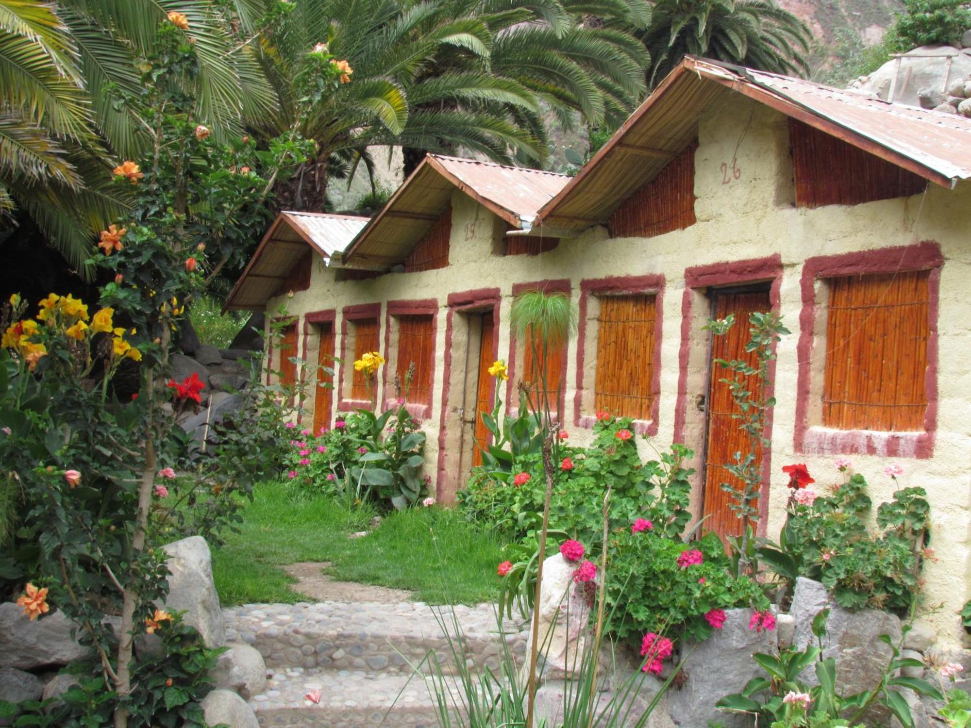 Paraiso Las Palmeras Lodge 卡瓦纳科德 外观 照片
